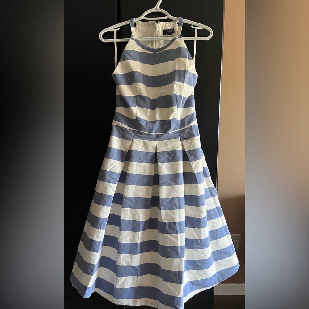 The Limited Blue and White Striped Dress